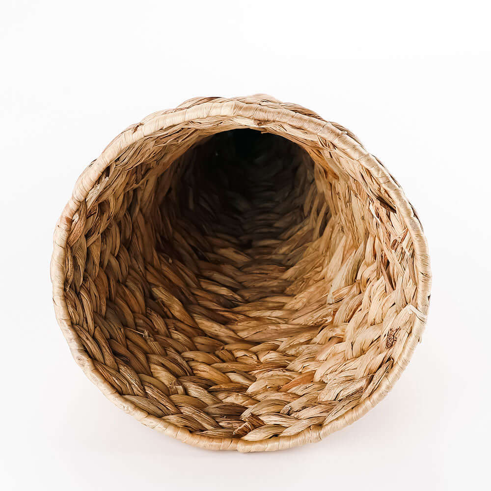 nature grass decoration