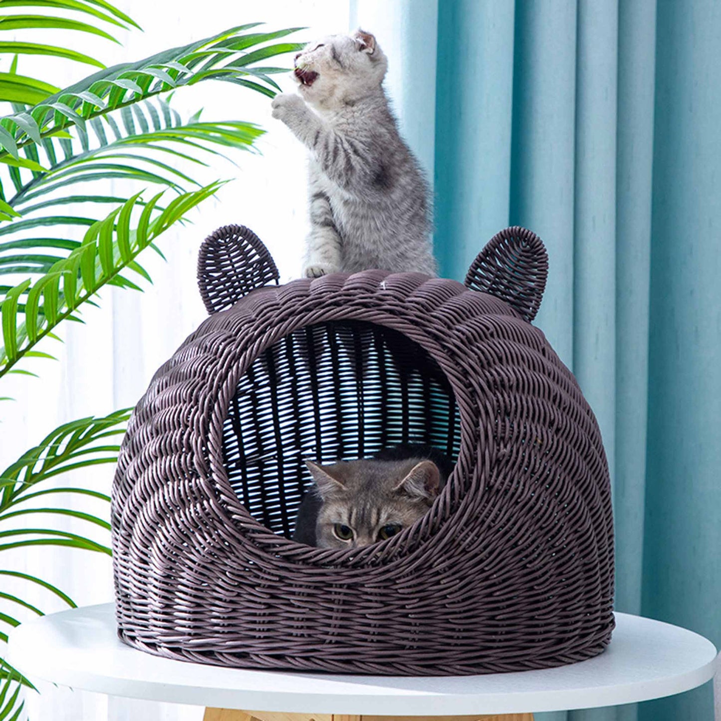 Best Choice Pet Bed for Cat Have Legs Handwoven Hand Wash Cat Rattan Bed House OEM Designs Customized